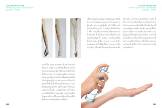 330
เจาะเทรนด์โลก 2015 โดย TCDC
Trend 04 : Supernatureal - ธรรมชาติเหนือจริง
แนวความคิด - นวัตกรรม
แบคทีเรีย Sonja Baumel เจ้าของโปรเจกต์
พัฒนาความรู้ด้านแบคทีเรียเพื่อต่อยอดเป็น
นวัตกรรม Second Skin ได้ออกแบบเยื่อผิวหนัง
ที่เลียนแบบผิวจริงของมนุษย์ตามลักษณะ
เฉพาะบุคคลด้วยกรรมวิธีการเชื่อมต่อแบคทีเรีย
เข้ากับอุณหภูมิร่างกายและเแปรเปลี่ยนเป็น
รูปทรงที่คล้ายเนื้อเยื่อเซลล์ในลักษณะบางและ
ยืดหยุ่นเหมือนผิวหนัง แม้ว่าจะเป็นการวิจัยและ
ทดลองในเบื้องต้น แต่นับว่าเป็นการก้าวข้าม
ความเป็นไบโอชีวภาพแบบเดิม มาสู่การเปลี่ยน
ข้อมูลทางชีวภาพให้กลายเป็นส่วนหนึ่งของชีวิต
ที่สร้างความเหมือนได้อย่างเหนือจริง
331
เจาะเทรนด์โลก 2015 โดย TCDC
Trend 04 : Supernatureal - ธรรมชาติเหนือจริง
แนวความคิด - นวัตกรรม
บริษัท Svenska Cellulosa Aktiebolaget (SCA)
ทำ�การสำ�รวจพฤติกรรมของชาวอังกฤษพบว่า
ผู้ชายถึง 41% และผู้หญิงถึง 33% ไม่ได้อาบนํ้า
ทุกวันและมีจำ�นวนถึง12% ที่อาบนํ้าเพียงวันละ
1 ครั้ง การเปลี่ยนการอาบนํ้าให้สะดวกสบาย
ด้วยสเปรย์ จึงเป็นอีกทางเลือกหนึ่งที่สามารถ
ตอบโจทย์ปัญหานี้ A+Mist สเปรย์แบคทีเรีย
ที่คิดค้นโดยผู้เชี่ยวชาญทางแบคทีเรีย
AOBiome เป็นบริษัทที่ต้องการลบความเชื่อ
แบบเดิมๆ ให้แบคทีเรียกลายเป็นผลิตผลเพื่อ
สุขภาพผิว และด้วยคุณสมบัติของ A+Mist ที่
เป็นการนำ�แบคทีเรียสังเคราะห์ผสมกับสาร
ไนโตรเจนและแอมโมเนียจึงเป็นผลิตภัณฑ์ที่
สามารถเพิ่มความสดชื่น ดับกลิ่น และฆ่าเชื้อโรค
นอกจากนี้ยังสามารถสร้างสุขภาพผิวและ
ภูมิคุ้มกันที่ดีต่อสุขภาพได้อีกด้วย การทำ�ให้
แบคทีเรียกลายเป็นหนึ่งในต้นทุนมหัศจรรย์นี้
นอกจากจะสร้างค่านิยมการเข้าถึงความสะอาด
แนวใหม่แล้วยังถือว่าเป็นการลบล้างความคิด
เก่าไปพร้อมกัน
 