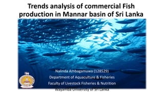Trends analysis of commercial Fish
production in Mannar basin of Sri Lanka
Nalinda Ambagamuwa (128529)
Department of Aquaculture & Fisheries
Faculty of Livestock Fisheries & Nutrition
Wayamba University of Sri Lanka
 