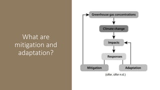 What are
mitigation and
adaptation?
 