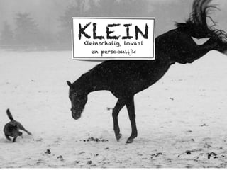 KLEIN
Kleinschalig, lokaal
  en persoonlijk
 