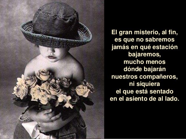 Tren De La Vida Reflexion Tren De La Vida Reflexion