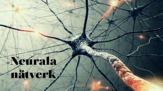 35
Neurala
nätverk
 