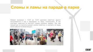 Слоны и ламы на параде в парке
Каждые выходные с 13.00 до 15.00 цирковые животные дружно
выстраиваются в ряд и маршируют по парку «Сокольники». В них
участвуют животные из местного «Цирка огромных зверей». При чем
каждый раз на прогулку выводят разных животных, а смотреть на парад
можно абсолютно безвозмездно.
 