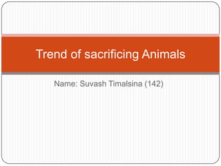 Trend of sacrificing Animals
Name: Suvash Timalsina (142)

 