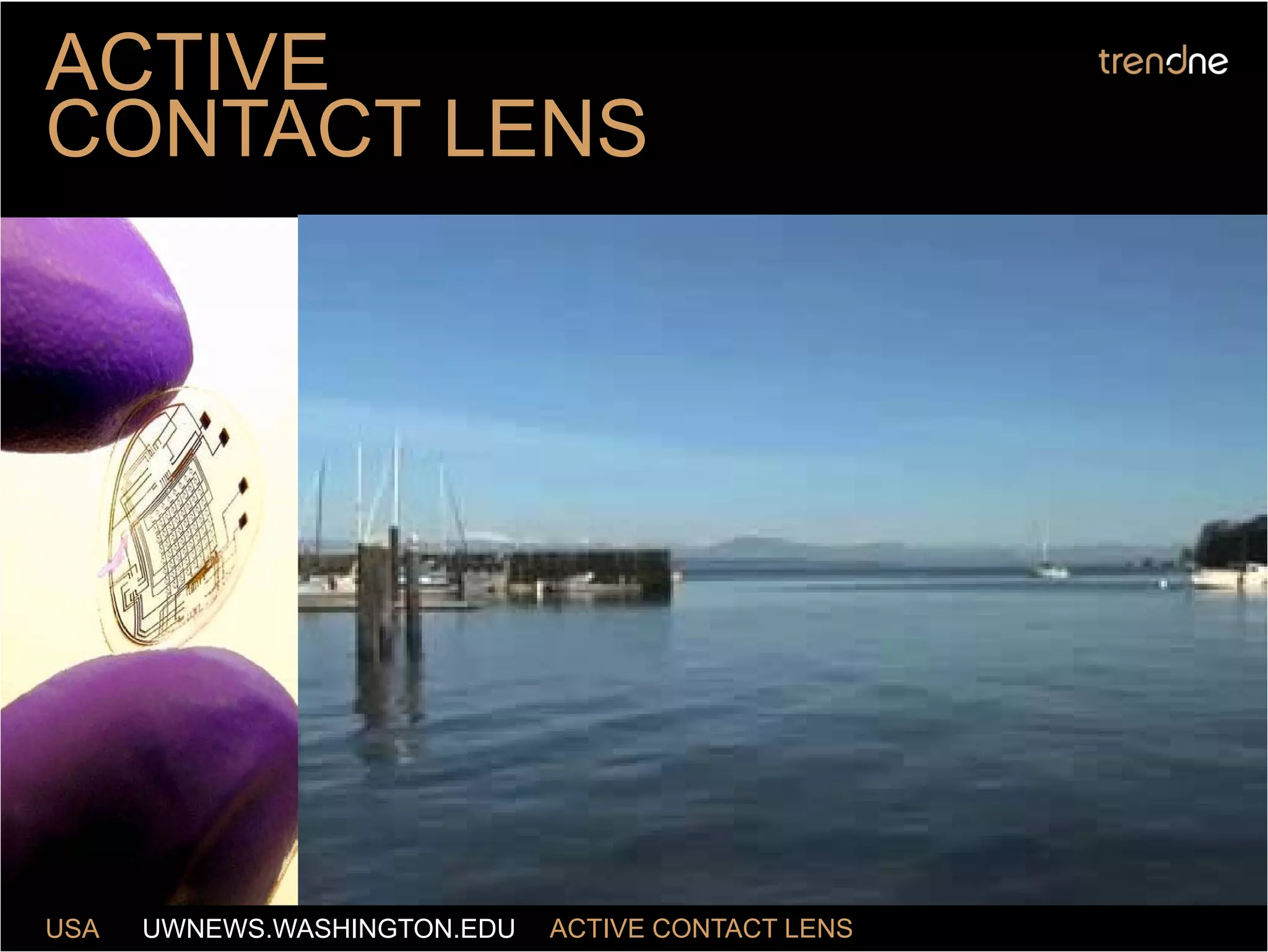 Trend One (Web Expansion) Grape Online Strategies 2009 by Nick Sohnemann