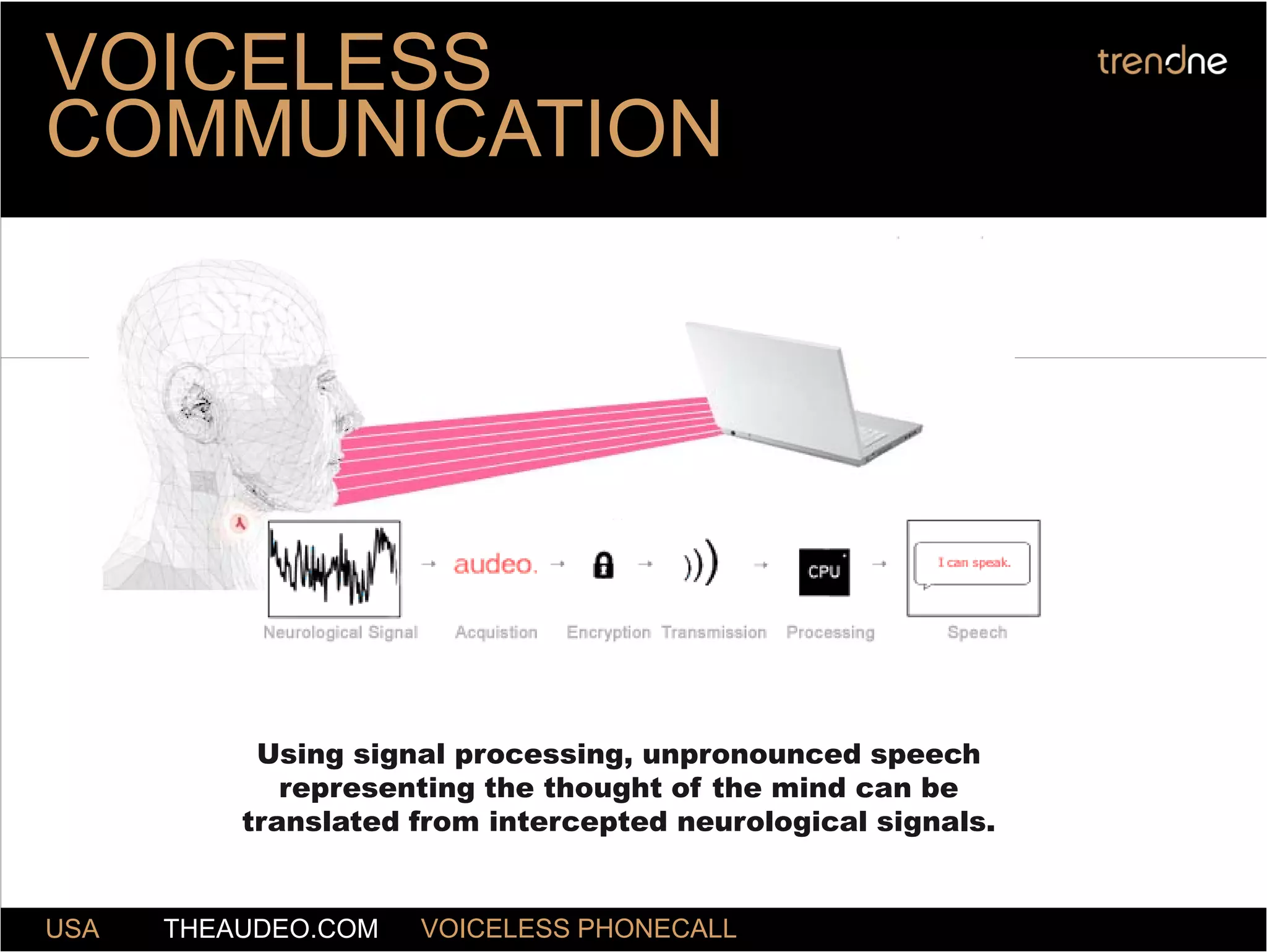 Trend One (Web Expansion) Grape Online Strategies 2009 by Nick Sohnemann