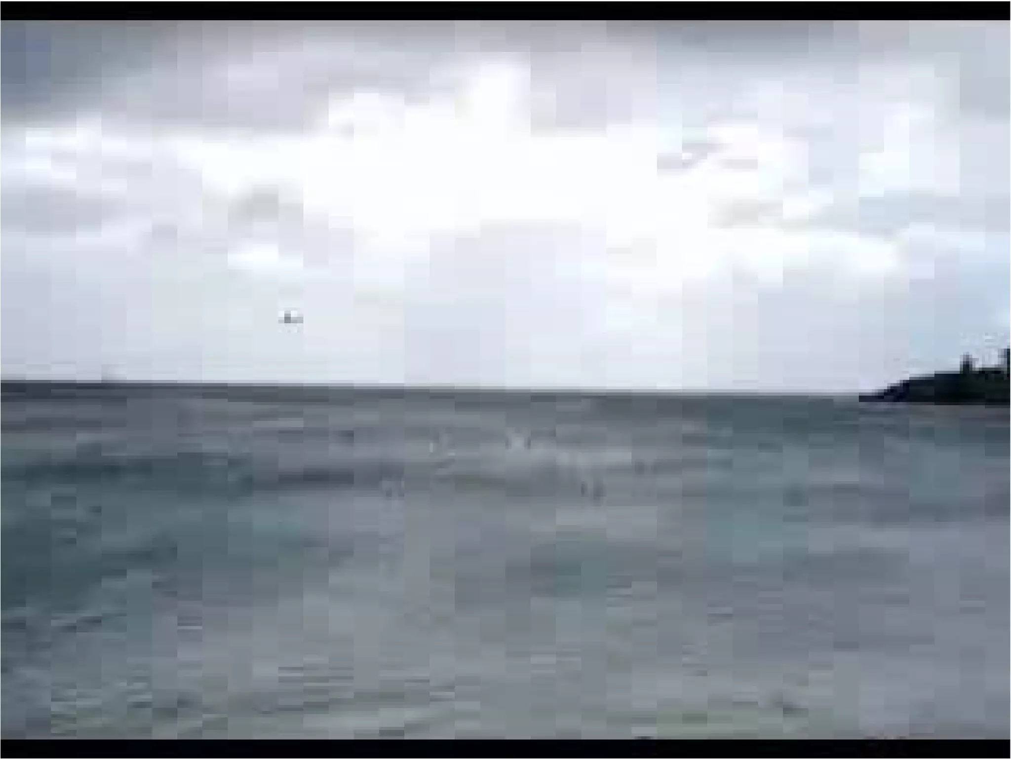 Trend One (Web Expansion) Grape Online Strategies 2009 by Nick Sohnemann