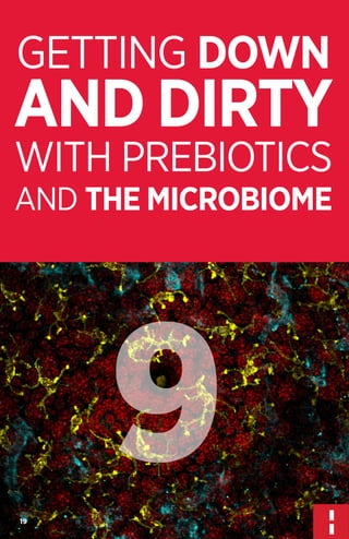 GETTING DOWN

AND DIRTY
WITH PREBIOTICS
AND THE MICROBIOME

9
19

 