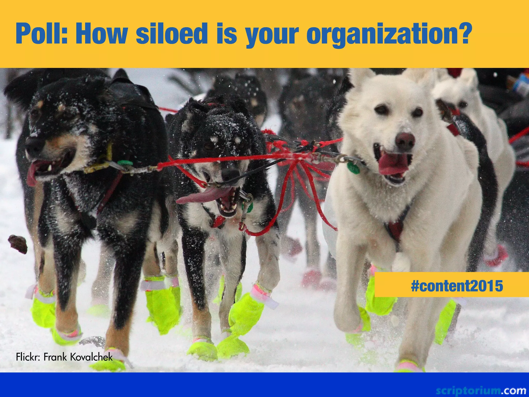 Poll: How siloed is your organization?
Flickr: Frank Kovalchek
#content2015
 