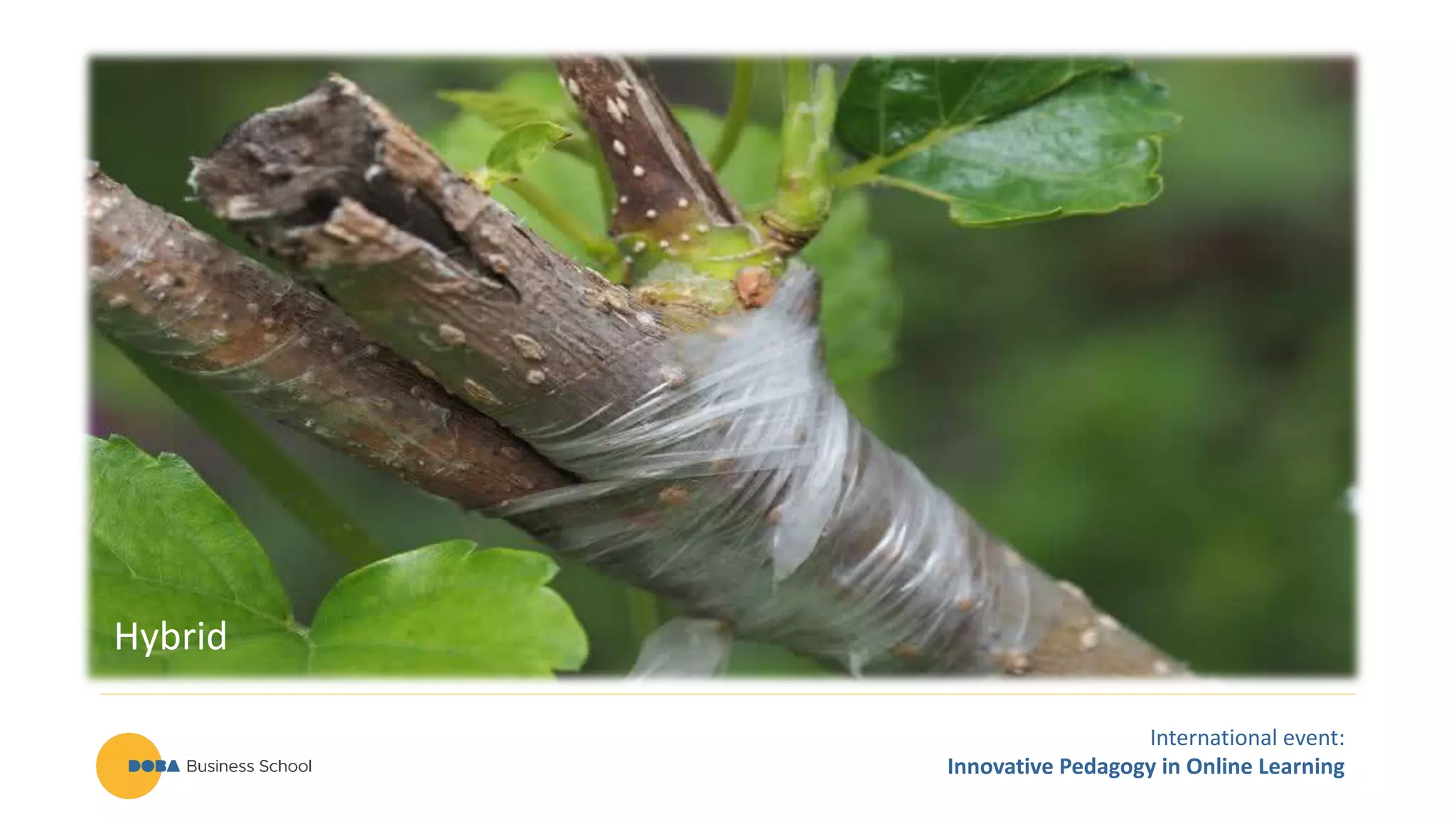 International event:
Innovative Pedagogy in Online Learning
Hybrid
 