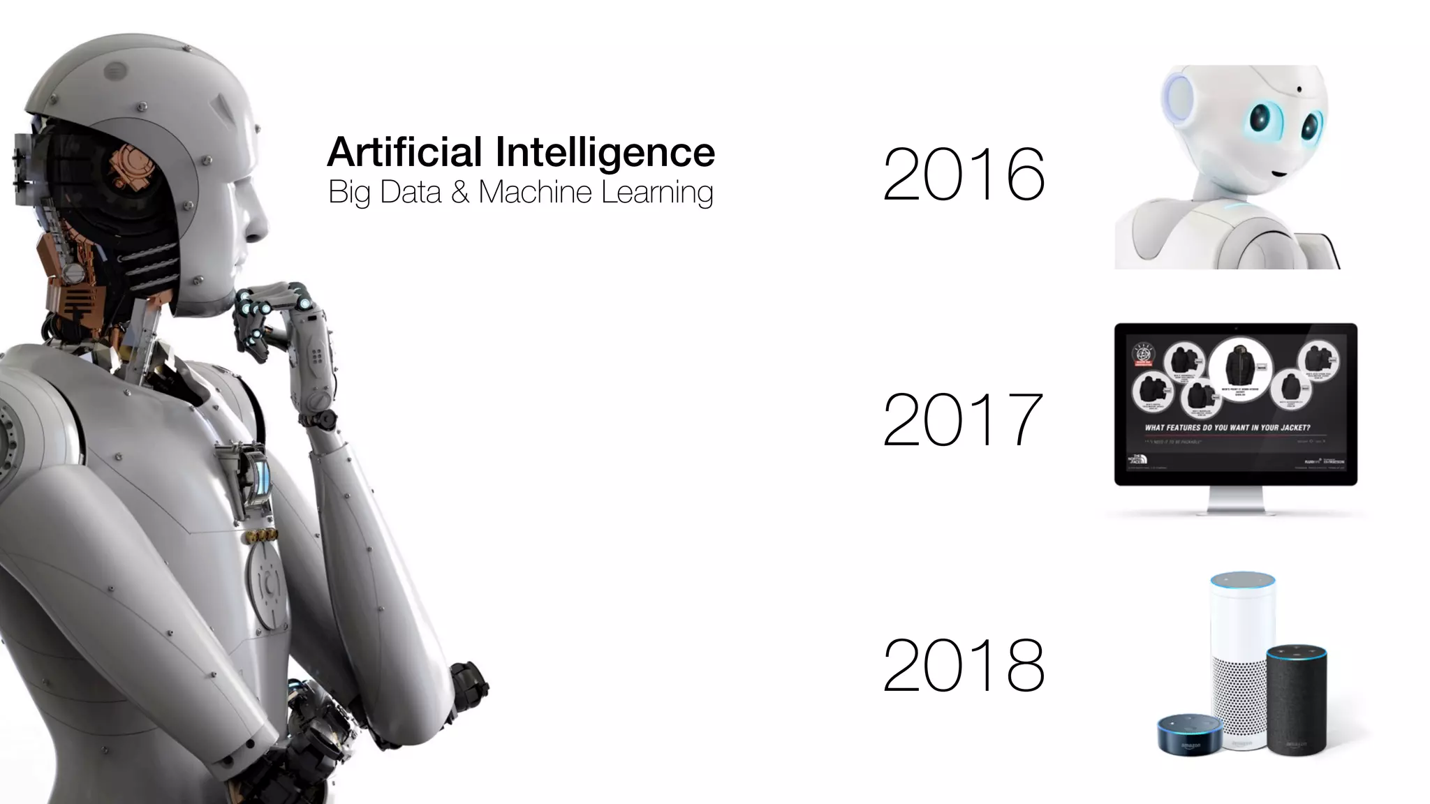 2016
2017
2018
Artiﬁcial Intelligence
Big Data & Machine Learning
 