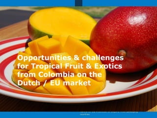 Opportunities & challenges
for Tropical Fruit & Exotics
from Colombia on the
Dutch / EU market
 