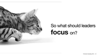 © Inlumino Consulting, 2019 | 42
So what should leaders
focus on?
 