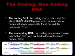 Current Trends in Molecular Biology and BioTechnology (ppt) | PPT