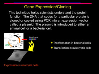 Current Trends in Molecular Biology and BioTechnology (ppt) | PPT