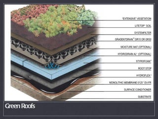 Green Roofs 