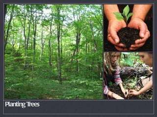 Planting Trees 