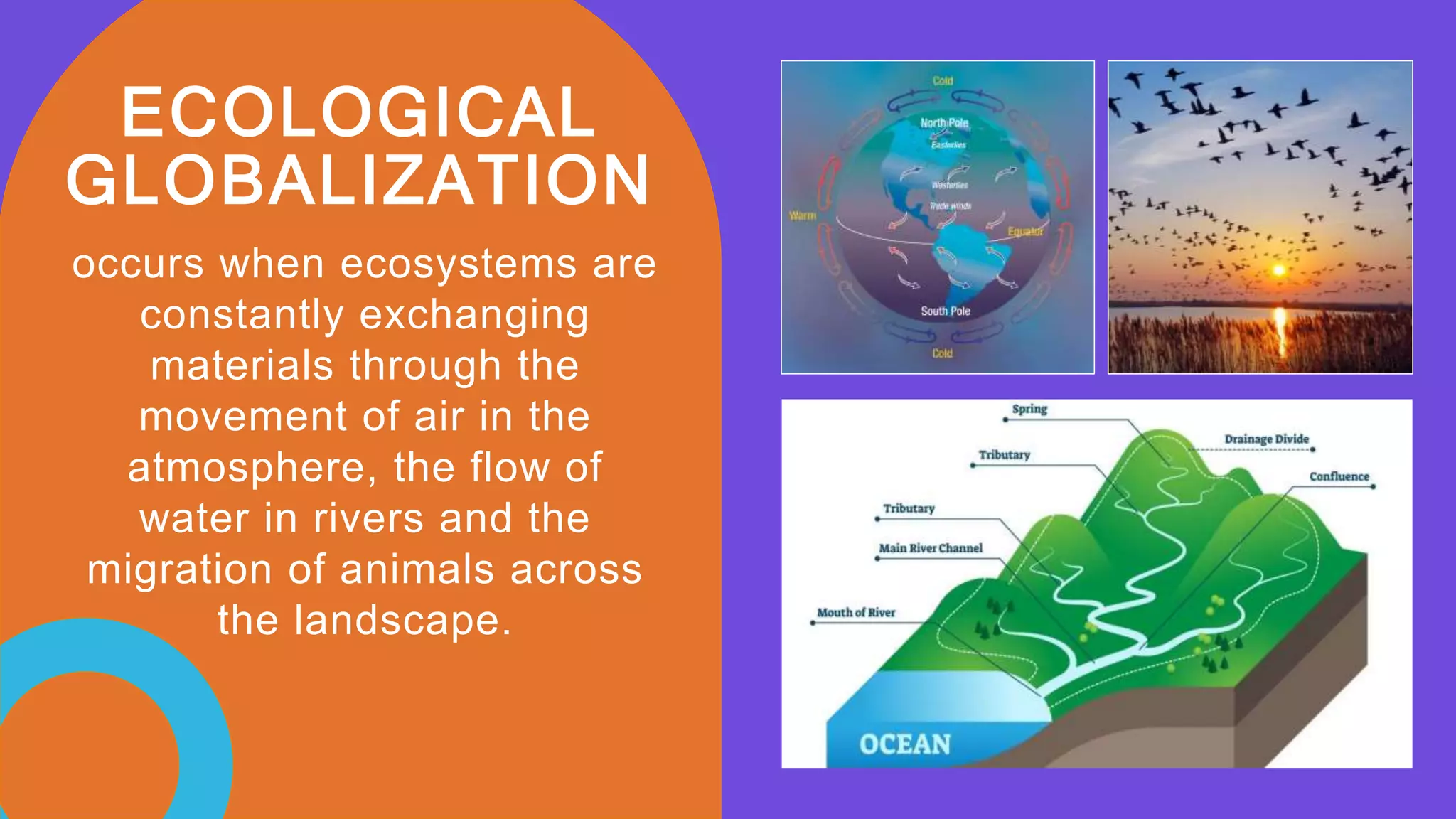 ECOLOGICAL
GLOBALIZATION
occurs when ecosystems are
constantly exchanging
materials through the
movement of air in the
atmosphere, the flow of
water in rivers and the
migration of animals across
the landscape.
 