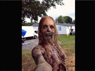 Taco Bell
• Taco Bell

 