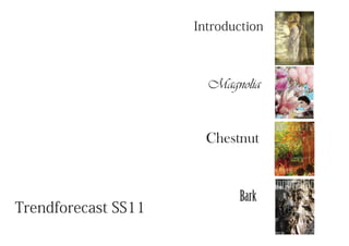 Introduction
Magnolia
Chestnut
Bark
Trendforecast SS11
 