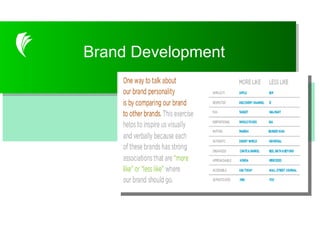 Customer Intercept Survey Brand Development 
