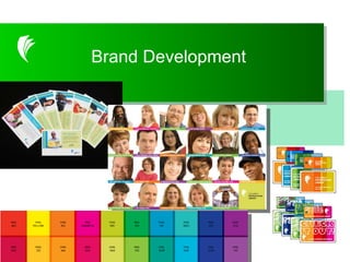 Customer Intercept Survey Brand Development 