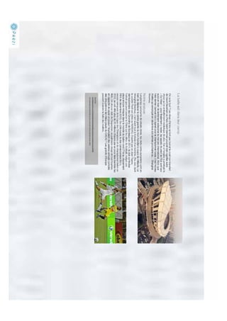 Trendzine elan012012 