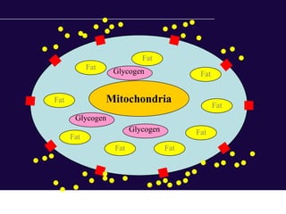 Fat
            Fat
                   Glycogen                Fat


Fat               Mitochondria                   Fat
       Glycogen
                         Glycogen         Fat
      Fat
                   Fat              Fat
 