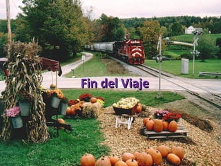 Fin del Viaje 