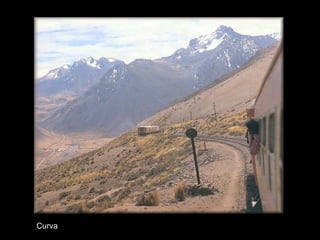 Curva 