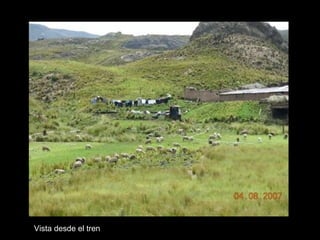 Vista desde el tren 