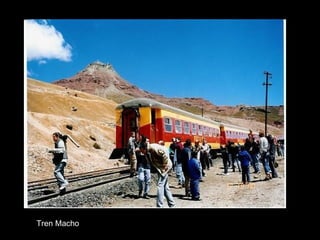 Tren Macho 