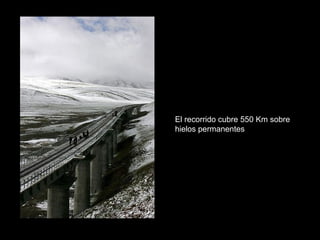 El recorrido cubre 550 Km sobre hielos permanentes 