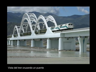 Vista del tren cruzando un puente
 