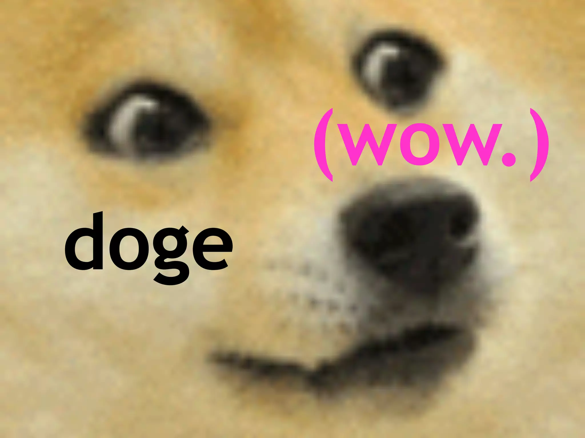 doge
(wow.)
 