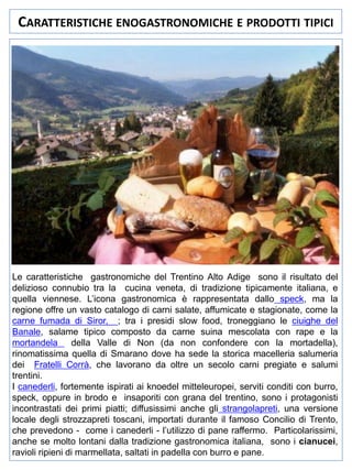 CARATTERISTICHE ENOGASTRONOMICHE E PRODOTTI TIPICI

Le caratteristiche gastronomiche del Trentino Alto Adige sono il risultato del
delizioso connubio tra la cucina veneta, di tradizione tipicamente italiana, e
quella viennese. L’icona gastronomica è rappresentata dallo speck, ma la
regione offre un vasto catalogo di carni salate, affumicate e stagionate, come la
carne fumada di Siror, ; tra i presidi slow food, troneggiano le ciuighe del
Banale, salame tipico composto da carne suina mescolata con rape e la
mortandela della Valle di Non (da non confondere con la mortadella),
rinomatissima quella di Smarano dove ha sede la storica macelleria salumeria
dei Fratelli Corrà, che lavorano da oltre un secolo carni pregiate e salumi
trentini.
I canederli, fortemente ispirati ai knoedel mitteleuropei, serviti conditi con burro,
speck, oppure in brodo e insaporiti con grana del trentino, sono i protagonisti
incontrastati dei primi piatti; diffusissimi anche gli strangolapreti, una versione
locale degli strozzapreti toscani, importati durante il famoso Concilio di Trento,
che prevedono - come i canederli - l’utilizzo di pane raffermo. Particolarissimi,
anche se molto lontani dalla tradizione gastronomica italiana, sono i cianucei,
ravioli ripieni di marmellata, saltati in padella con burro e pane.

 