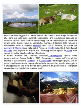 Le vallate lussureggianti e i verdi pascoli del Trentino Alto Adige distesi fino
alle cime più alte delle Dolomiti sostengono una produzione casearia di
altissima qualità: latte, lavorato ancora oggi con le stesse tecniche millenarie
di una volta, burro, yogurt e, soprattutto, formaggi. Il tagliere della regione è
ricchissimo, oltre al classico Dolomiti della Val di Fiemme, si spazia dal
puzzone di Moena, tipico della Val di Fassa, al casolet della Val di Sole, fino al
vezzena della regione di Trento; tra i formaggi freschi spicca la poina, una
specie di ricotta, talvolta salata e affumicata.
Il Grana Padano del Trentino, chiamato Trentingrana, rientra nella
denominazione Grana Padano DOP. Provengono invece dall’arco alpino
tirolese il classicissimo Tirolese e il GrauKaese (formaggio grigio), che si
gusta condito con aceto, oppure olio ed erbe aromatiche; questo formaggio è
il protagonista di una nota ricetta del Cucchiaio d’Argento che lo interpreta
servendolo con cipolla fresca, olio e aceto.

 