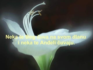N eka  te Bog  čuva  na svo m  dlan u   i n eka  te An đ eli  č uvaj u . 