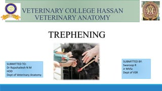 VETERINARY COLLEGE HASSAN
VETERINARYANATOMY
SUBMITTED TO:
Dr Rajashailesh N M
HOD
Dept of Veterinary Anatomy
SUBMITTED BY:
Swaroop R
Jr MVSc
Dept of VSR
TREPHENING
 