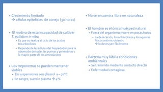 • Crecimiento limitado
 células epiteliales de conejo (30 horas)
• El motivo de esta incapacidad de cultivar
T. pallidum in vitro
• Es que no realiza el ciclo de los ácidos
tricarboxílicos
• Depende de las células del hospedador para la
obtención de todas las purinas y pirimidinas y
la mayor parte de los aminoácidos
• Los treponemas se pueden mantener
viables
• En suspensiones con glicerol a – 70°C
• En sangre, suero o plasma  4°C
• No se encuentra libre en naturaleza
• El hombre es el único huésped natural
• Fuera del organismo muere en pocas horas
• La desecación, los antisépticos y los agentes
físicos antimicrobianos
 lo destruyen fácilmente
• Bacteria muy lábil a condiciones
ambiéntales
• Se transmite mediante contacto directo
• Enfermedad contagiosa
 