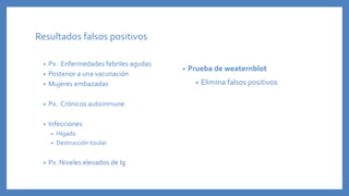 Resultados falsos positivos
• Px. Enfermedades febriles agudas
• Posterior a una vacunación
• Mujeres embazadas
• Px. Crónicos autoinmune
• Infecciones
• Hígado
• Destrucción tisular
• Px. Niveles elevados de Ig
• Prueba de weaternblot
• Elimina falsos positivos
 