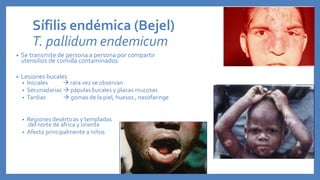 Sífilis endémica (Bejel)
T. pallidum endemicum
• Se transmite de persona a persona por compartir
utensilios de comida contaminados
• Lesiones bucales
• Iniciales  rara vez se observan
• Secunadarias  pápulas bucales y placas mucosas
• Tardias  gomas de la piel, huesos , nasofaringe
• Regiones desérticas y templadas
del norte de africa y oriente
• Afecta principalmente a niños
 