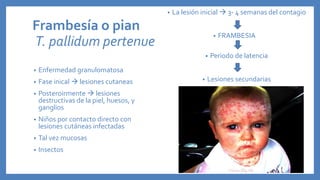 Frambesía o pian
T. pallidum pertenue
• Enfermedad granulomatosa
• Fase inical  lesiones cutaneas
• Posteroirmente  lesiones
destructivas de la piel, huesos, y
ganglios
• Niños por contacto directo con
lesiones cutáneas infectadas
• Tal vez mucosas
• Insectos
• La lesión inicial  3- 4 semanas del contagio
• FRAMBESIA
• Periodo de latencia
• Lesiones secundarias
 