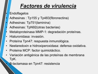 Factores de virulencia
• Endoflagelos
• Adhesinas : Tp155 y Tp483(fibronectina)
• Adhesinas: Tp751(laminina)
• Adhesinas: TpN92(otras bacterias)
• Metaloproteinasa MMP-1: degradación proteínas.
• Hialuronidasa: invasión.
• Proteína Tpn47: respuesta inmunológica.
• Neelaredoxin e hidroxiperoxidasa: defensa oxidativa.
• Proteina MCP: factor quimiotáctico.
• Variación antigénica de las proteínas de membrana
TpK.
• B-lactamasa en Tpn47: resistencia
 