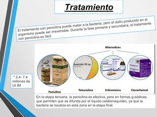 Tratamiento
En la etapa terciaria, la penicilina es efectiva, pero en formas g-sódicas,
que permiten que se difunda por el líquido cefalorraquídeo, ya que la
bacteria se localiza en esta zona en la etapa final.
* 2.4- 7.4
millones de
UI IM
 