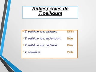 Subespecies de
T.pallidum
 
