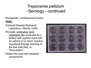 Treponema pallidum
- Serology - continued
Nonspecific, nontreponemic tests:
VDRL
(Veneral Disease Research
Laboratory, Atlanta, USA)
Principle: antibodies (anti-
cardiolipin Ab) produced by a
patient with syphilis react with
an extract of ox heart; reaction
visualized through foaming of
the test tube fluid, or
"flocculation".
Patient Ab react with bacterial
components
 