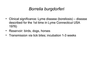 Borrelia burgdorferi
• Clinical significance: Lyme disease (boreliosis) – disease
described for the 1st time in Lyme Connecticut USA
1976)
• Reservoir: birds, dogs, horses
• Transmission via tick bites; incubation 1-3 weeks
 