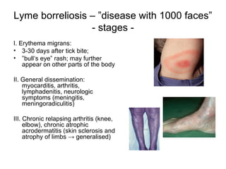 Lyme borreliosis – ”disease with 1000 faces”
- stages -
I. Erythema migrans:
• 3-30 days after tick bite;
• ”bull‘s eye” rash; may further
appear on other parts of the body
II. General dissemination:
myocarditis, arthritis,
lymphadenitis, neurologic
symptoms (meningitis,
meningoradiculitis)
III. Chronic relapsing arthritis (knee,
elbow), chronic atrophic
acrodermatitis (skin sclerosis and
atrophy of limbs → generalised)
 