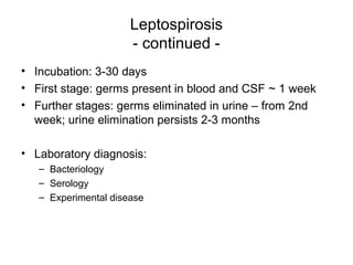 Leptospirosis
- continued -
• Incubation: 3-30 days
• First stage: germs present in blood and CSF ~ 1 week
• Further stages: germs eliminated in urine – from 2nd
week; urine elimination persists 2-3 months
• Laboratory diagnosis:
– Bacteriology
– Serology
– Experimental disease
 